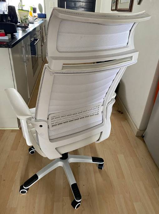 Ergonomic Office/Study Chair